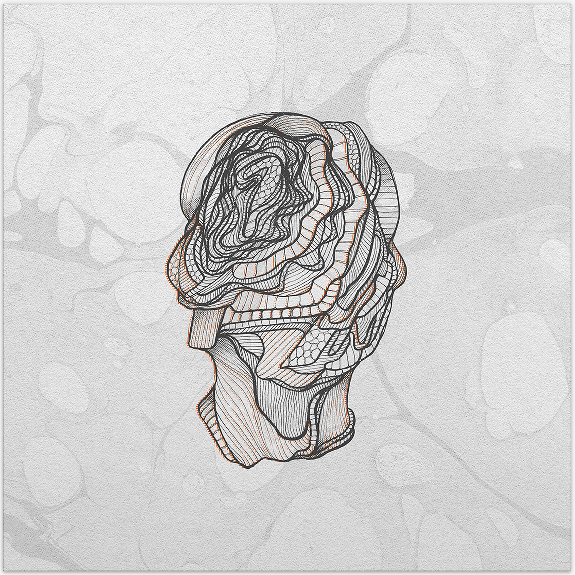 Calibre. Little Foot album box.