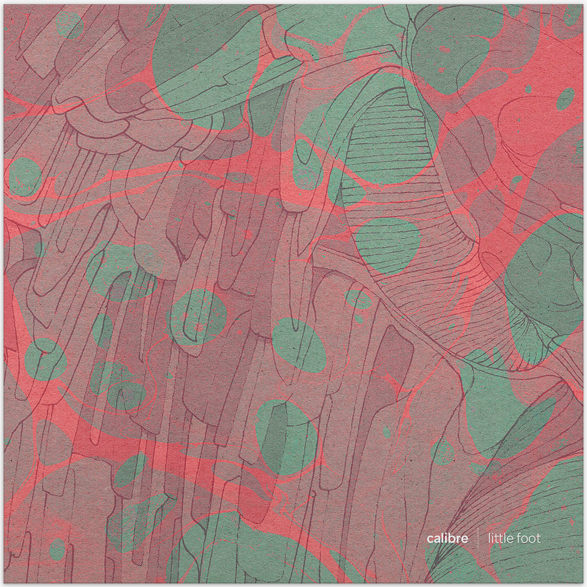 Calibre. Little Foot album inner-sleeve.