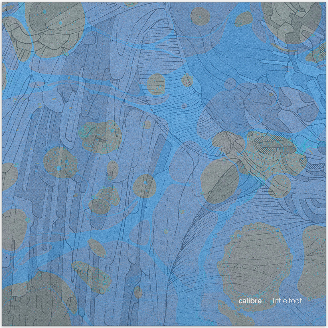 Calibre. Little Foot album inner-sleeve.