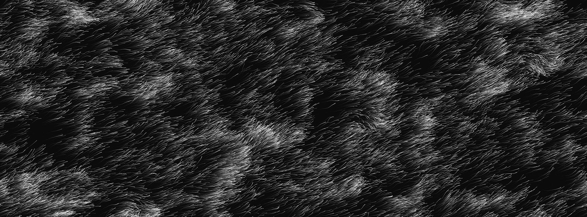 Calibre. Shelflife Sessions. HERE at Outernet.