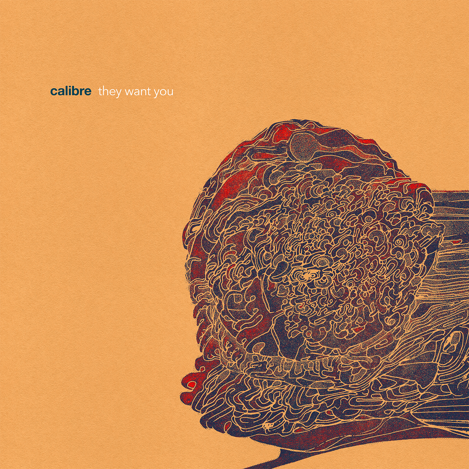 Calibre – They Want You